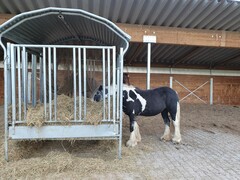 2022 09 september 310