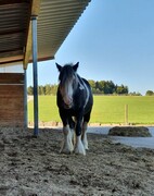 2022 09 september 311