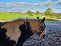 2022 09 september 312