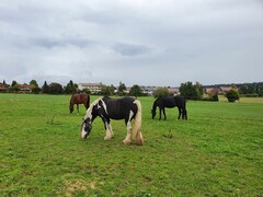 2022 09 september 314