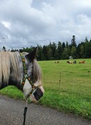 2022 09 september 315