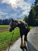 2022 09 september 317