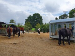 2022 09 september 319