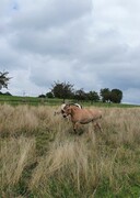 2022 09 september 321