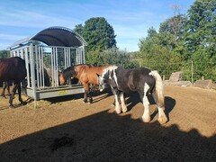 2022 09 september 322