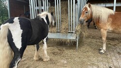 2022 09 september 324