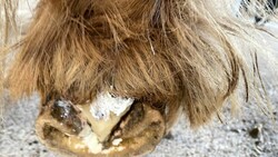 2022 09 september 326