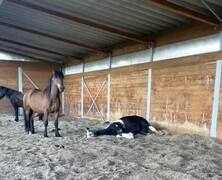 2022 09 september 327