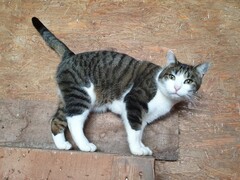 2022 11 november 351