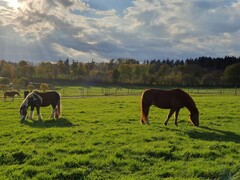 2022 11 november 355