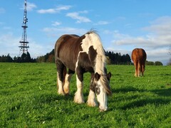 2022 11 november 356