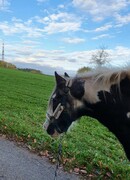 2022 11 november 357