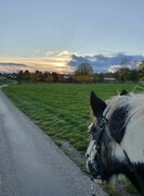 2022 11 november 358