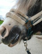 2022 11 november 360