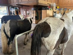 2022 11 november 362