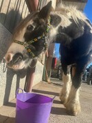 2022 11 november 364