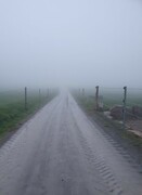 2022 12 dezember 369