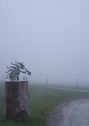 2022 12 dezember 371