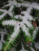 2022 12 dezember 374