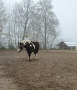 2022 12 dezember 375