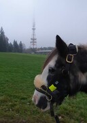 2022 12 dezember 385