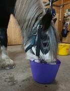 2022 12 dezember 389