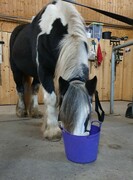 2022 12 dezember 390