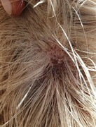 2022 12 dezember 396