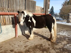 2022 12 dezember 402