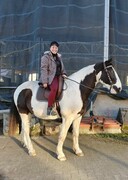 2022 12 dezember 408