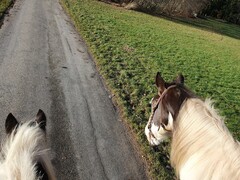 2022 12 dezember 410