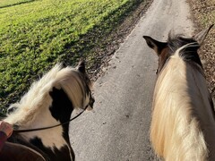 2022 12 dezember 411