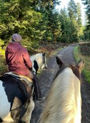 2022 12 dezember 415