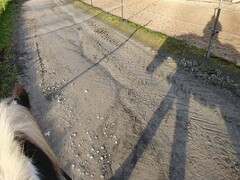 2022 12 dezember 423