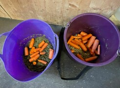 2022 12 dezember 431