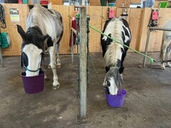 2022 12 dezember 432