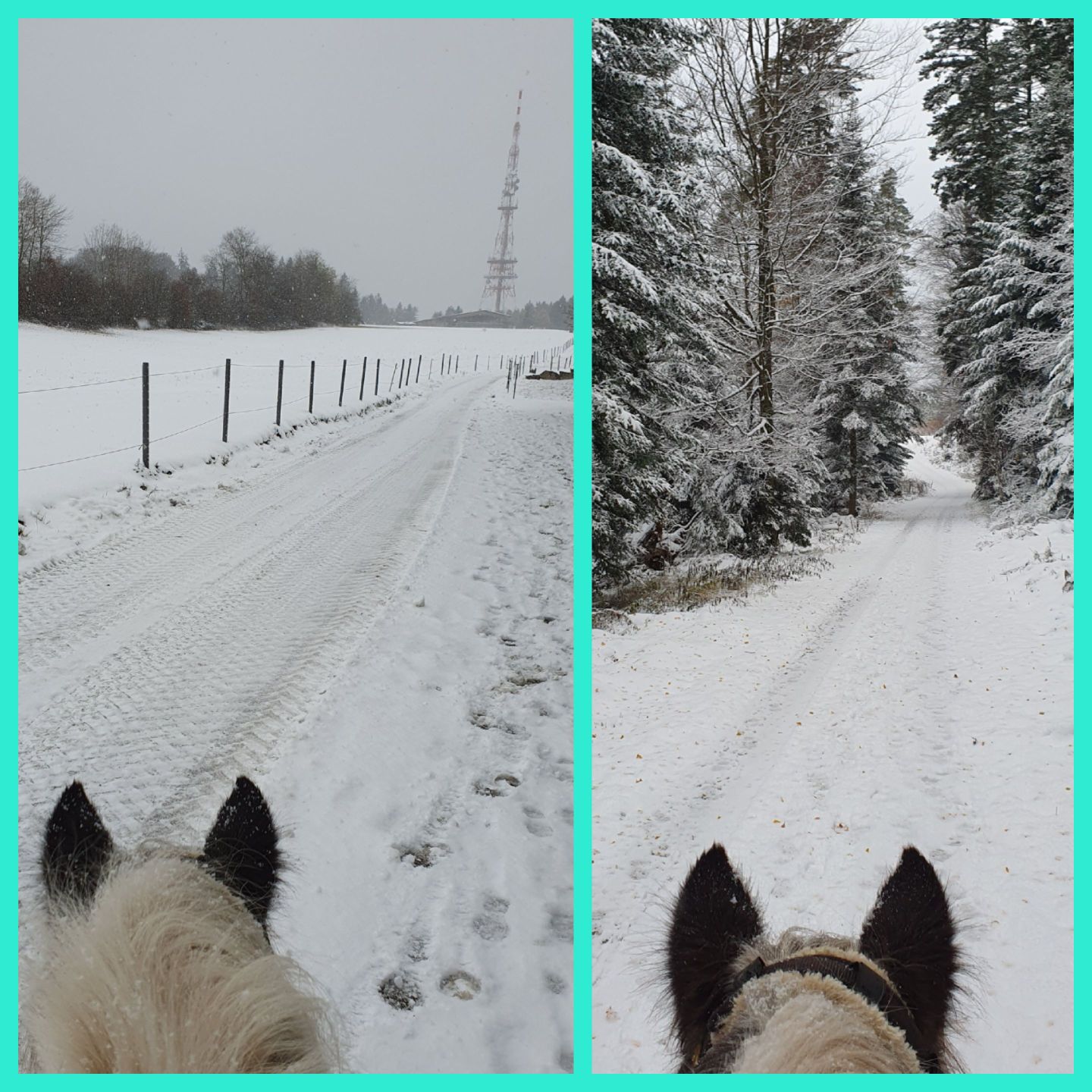 2023 11 November 622