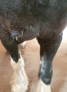 2023 09 september 500