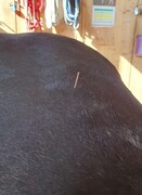 2023 09 september 501