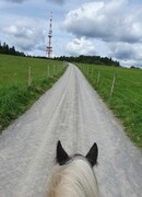 2023 09 september 502