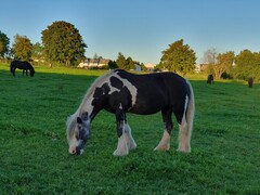 2023 09 september 507