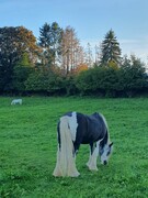 2023 09 september 508