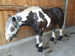 2023 09 september 509