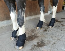 2023 09 september 510