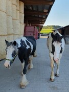 2023 09 september 512