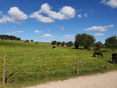 2023 09 september 514