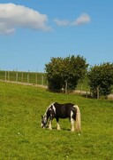 2023 09 september 515