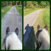 2023 09 september 517