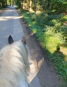 2023 09 september 520