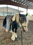 2023 09 september 522